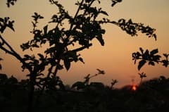 Herfst in zicht 2023, van 16 september tot 7 oktober &#128; 195.00   WIFI BESCHIKBAAR OVER DE HELE CAMPING.