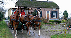 Paarden Groepsvervoer