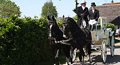 Paarden & Koets Trouwvervoer